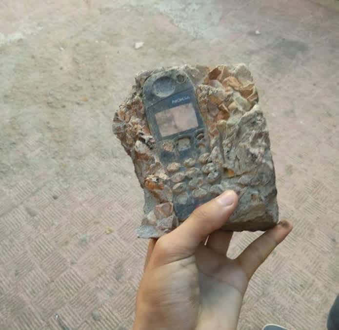 One In A Million Coincidences An Ancient Fossil Nokia