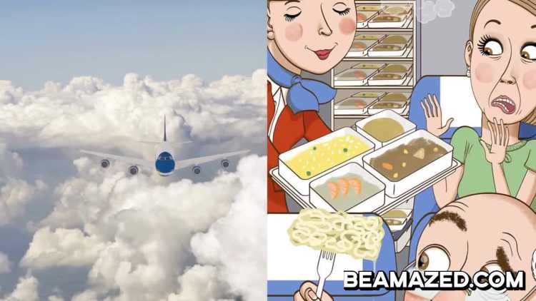 Flight Attendant Secrets Airplane food meal