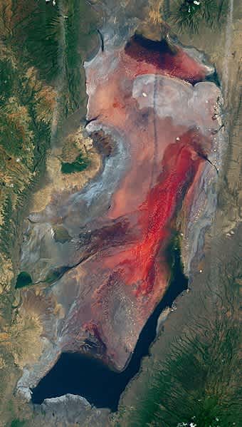 Lake Natron (Tanzania) – 2017-03-06 (very early in rainy season) – satellite image (cropped)
