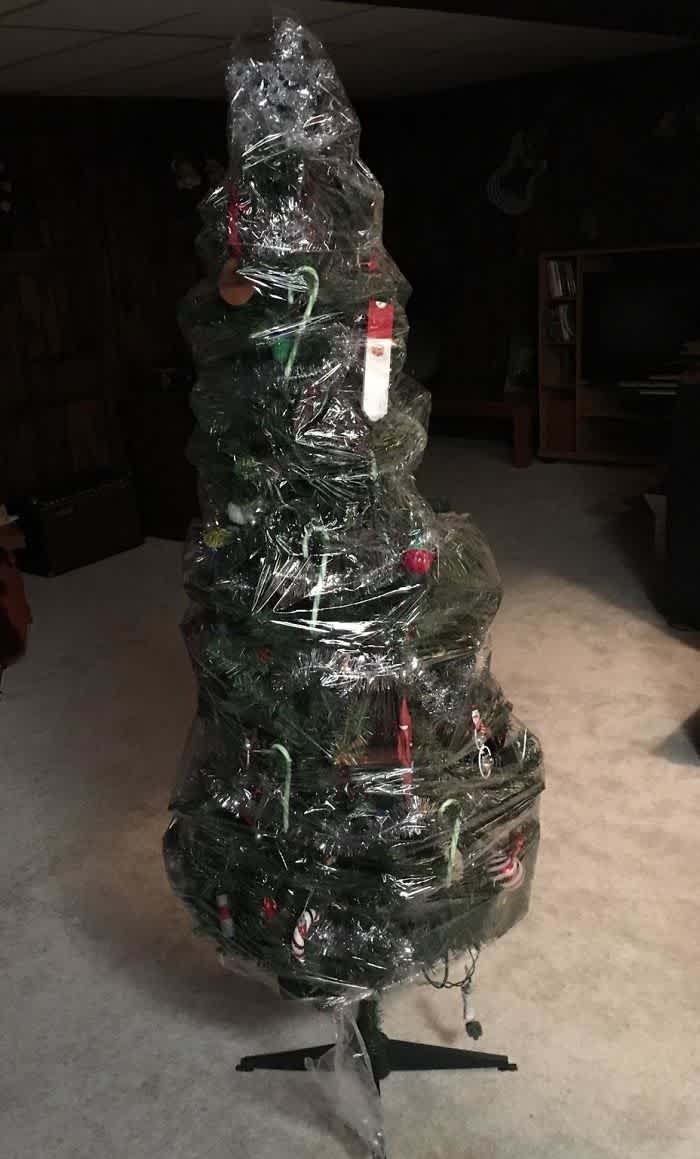 Christmas tree wrapped in plastic