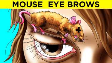 mouse eye brows