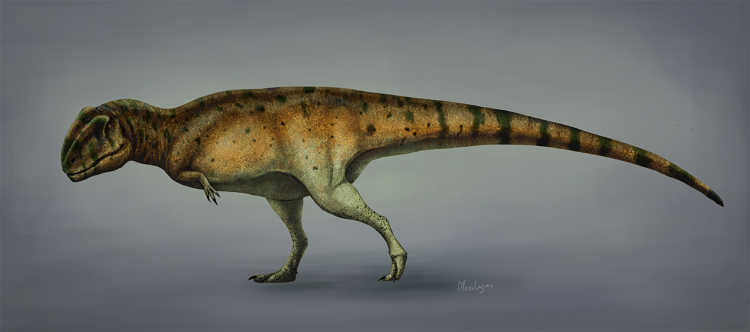 Mapusaurus Dinosaur 