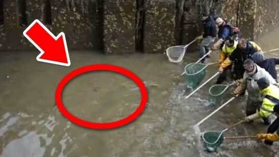 Unbelievable Objects Found In Drained Bodies of Water