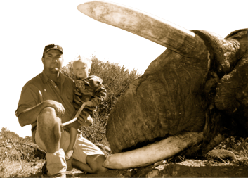 Theunis Botha elephant hunt dead elephant hunter