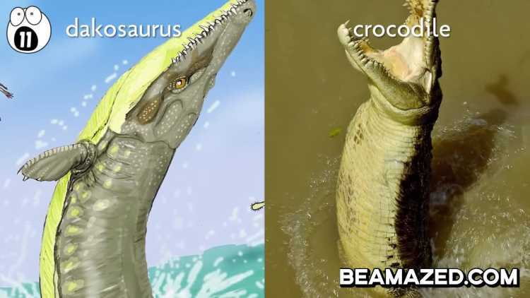 Dakosaurus Largest Sea Creatures that EVER Existed