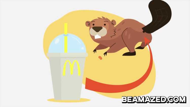 Unpleasant Secret Fast Food Facts milkshakes beaver anal gland 