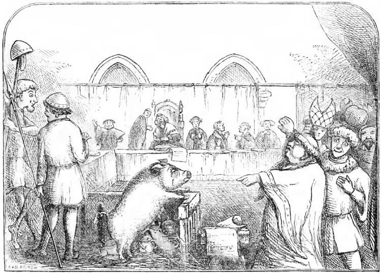 Animals Went on Trial in Medieval Europe Pig trial