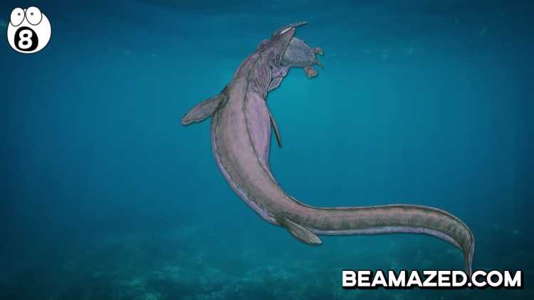 Mosasaurus Largest Sea Creatures that EVER Existed 