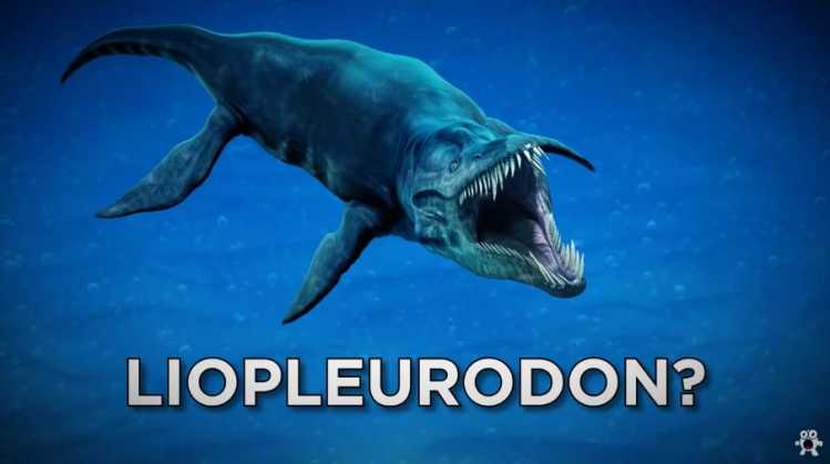 Creatures More Terrifying Than Megalodon Living In the Mariana Trench | Be  Amazed