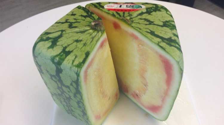 square watermelon inside yellow flesh