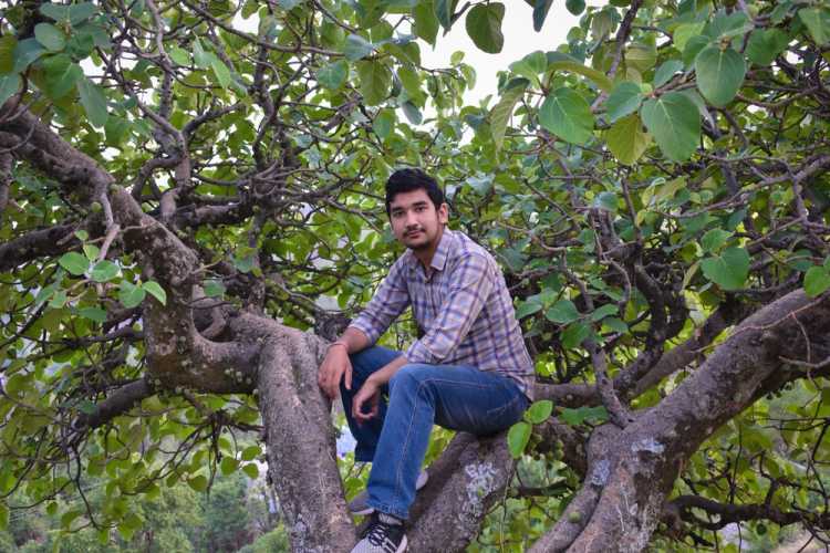 guy sitting on a tree