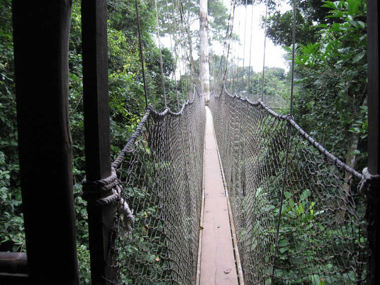 Kakum Canopy Walk