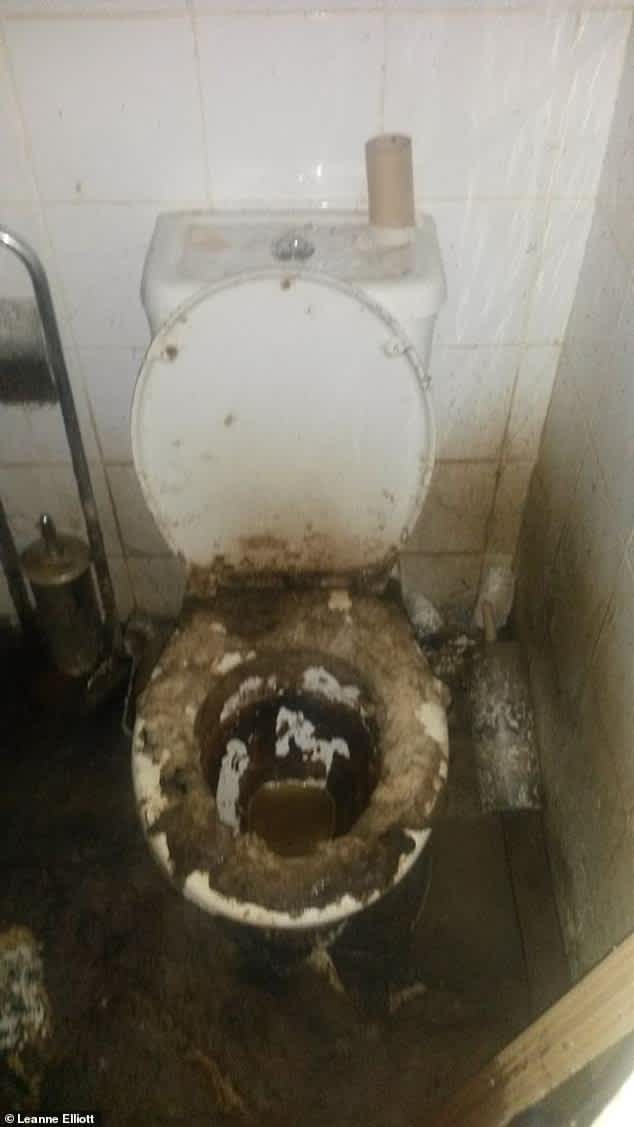 leanne elliott certitude cleaning filthy toilet 