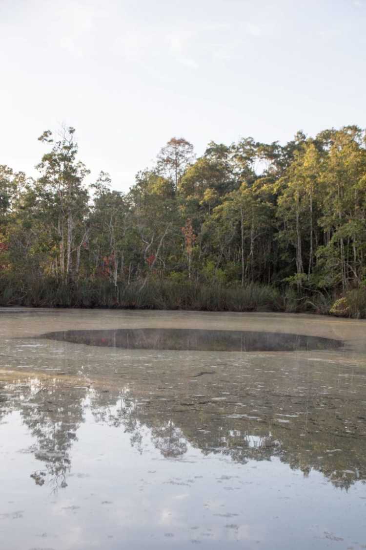 Eagle's Nest Sinkhole