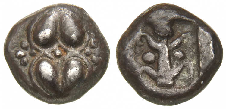 Ancient silver coin depicting a seed or fruit of silphium