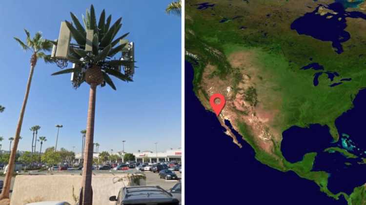 Scary Ways Governments Control Your Behavior San Diego palm tree tower
