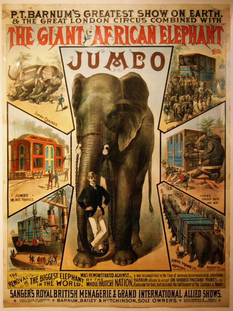 Disney movie Dumbo’s inspiration Jumbo