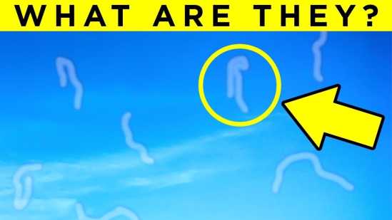 Random Fun Facts That Will Amaze You - Part 8