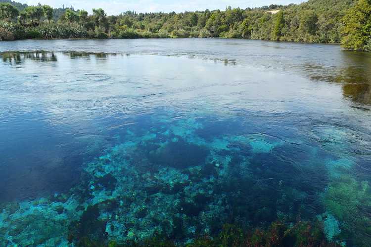 TeWaikoropupū Springs Beautiful Places Crystal Clear Water