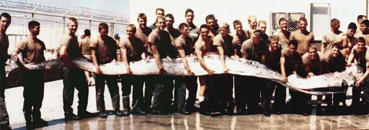 Largest Sea Creatures that EVER Existed Giant Oarfish