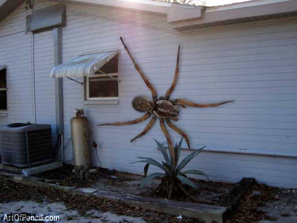 Fake Internet Photos hoaxes Angolan Witch Spider 