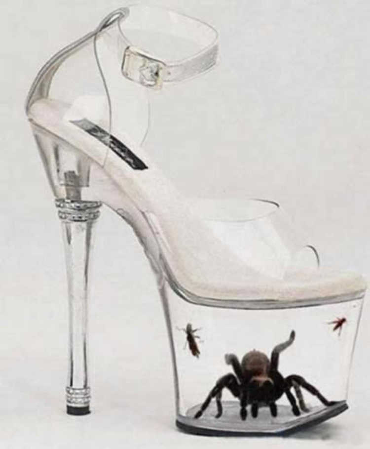 Tarantula Pumps shoe heel spider