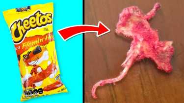 If You Notice This In Your Food, Throw It Away Immediately!
