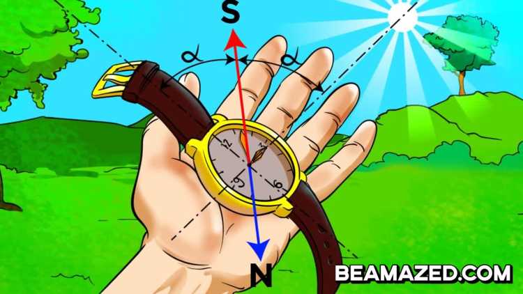 Tips That Could Save Your Life if You Get Lost In The Wilderness finding bearing using watch