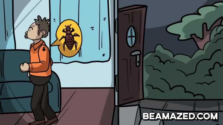 how bed bugs access a home