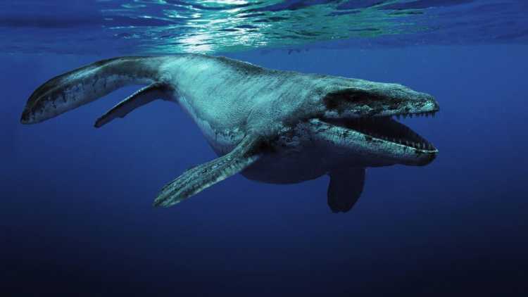 Largest Sea Creatures that EVER Existed Mosasaurus