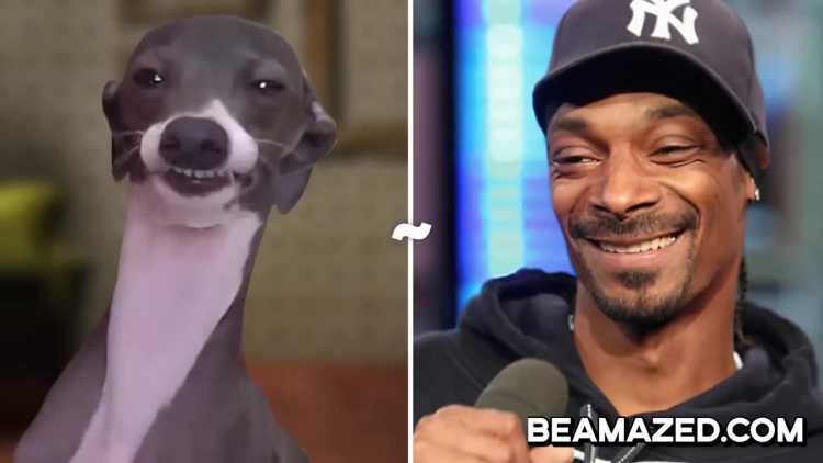 kermit looks like Snoop Dogg