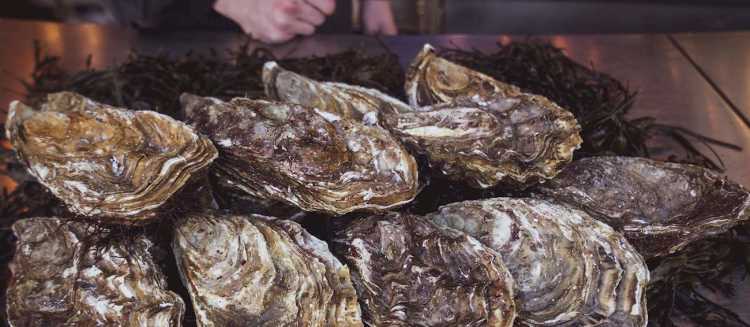 Coffin Bay King Oysters
