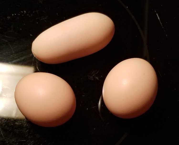 rare things Wonky Eggs