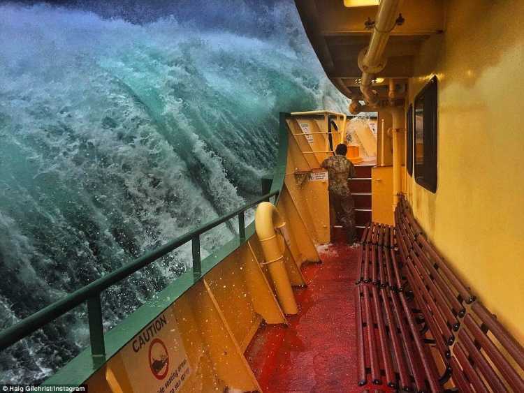 rogue wave manly ferry