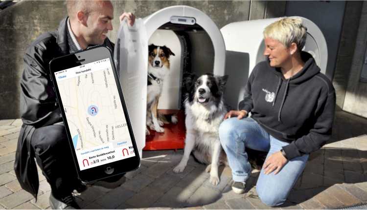 Genius Design Ideas Inventions Dog Booths