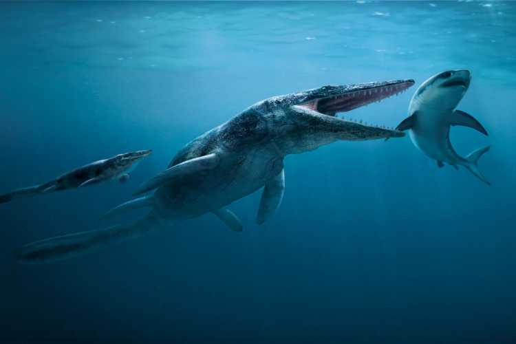 Largest Sea Creatures that EVER Existed Tylosaurus