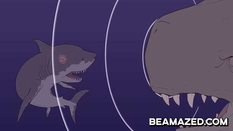 megalodon vs Livyatan