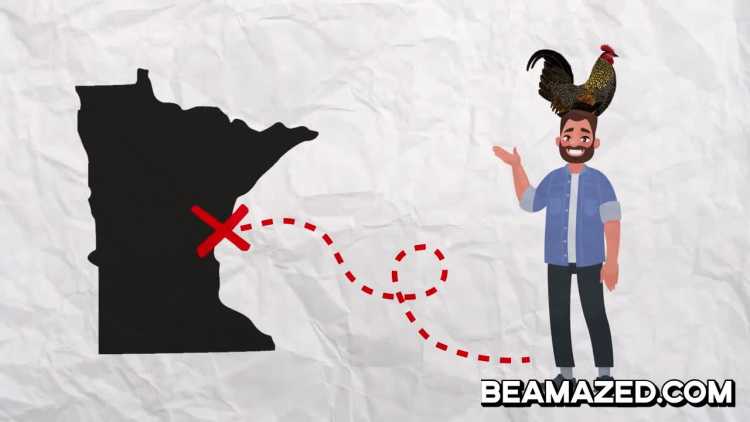 Bizarre Things You Can't Do in America Minnesota wearing poultry