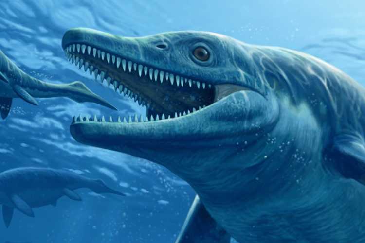 Largest Sea Creatures that EVER Existed Thalattoarchon