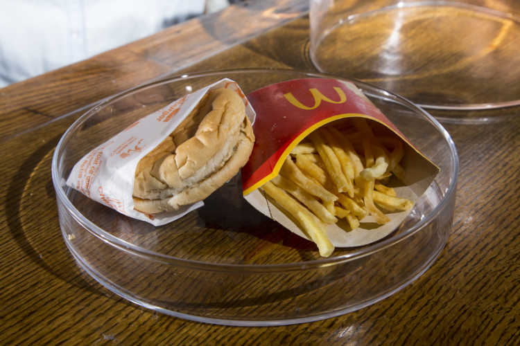 McDonalds cheeseburger not rotting
