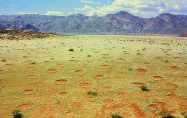 Fairy Circles Namibia's Marienfluss valley