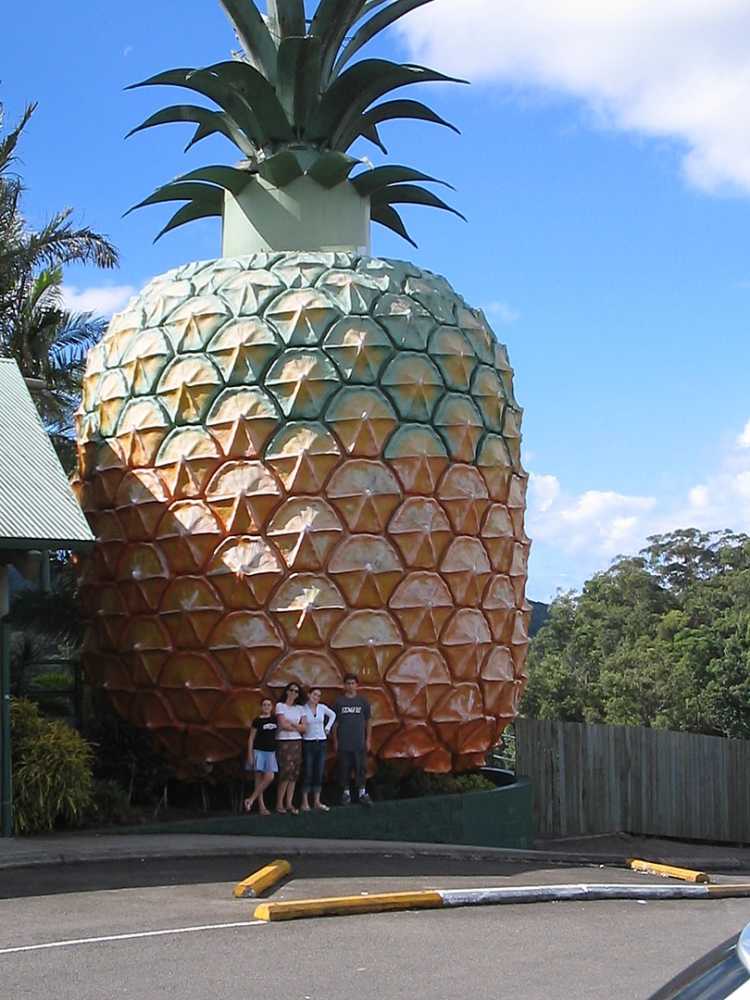 SpongeBob SquarePants pineapple house Nambour, Australia