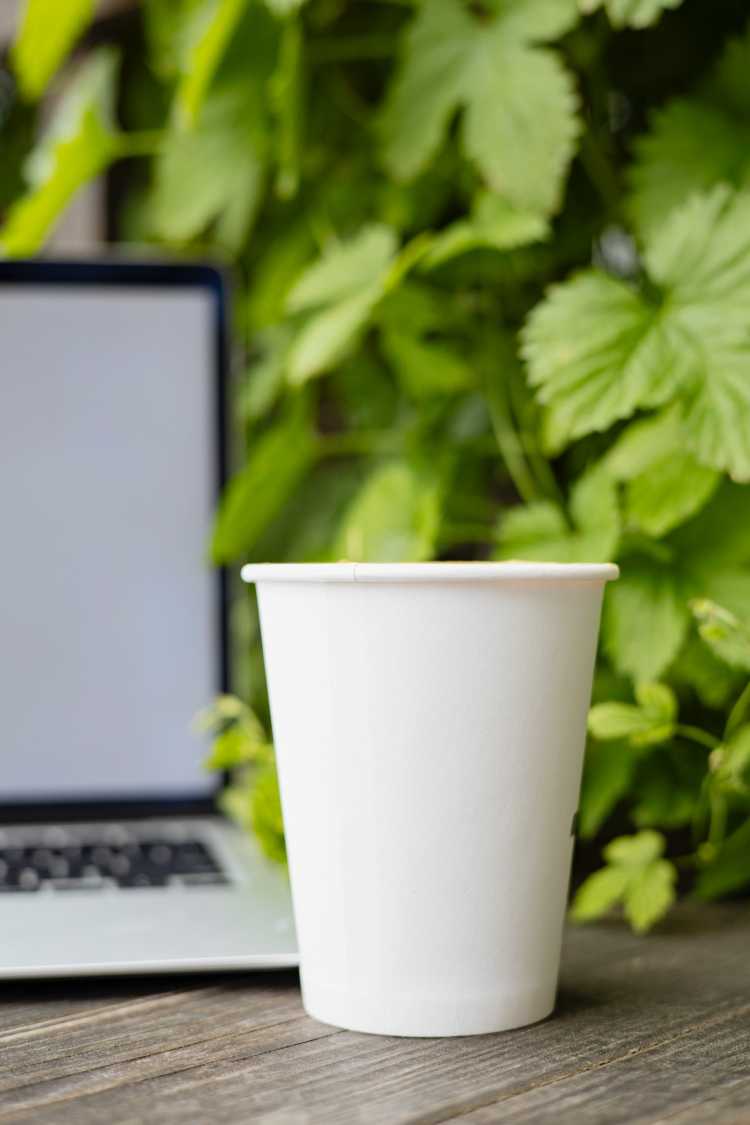disposable Cup Shape rim drink