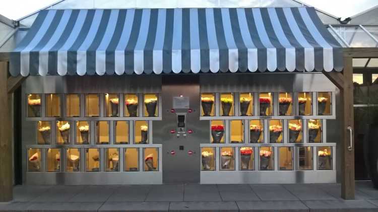 Incredible useful Vending Machines Flowers