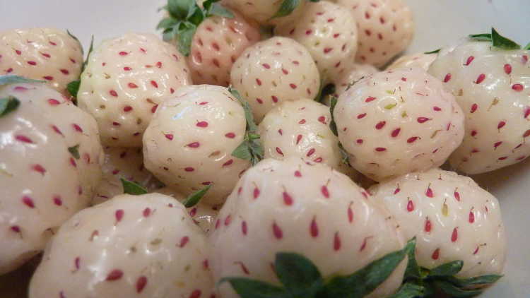 Foods That Originally Looked Totally Different Chilean Strawberry 
