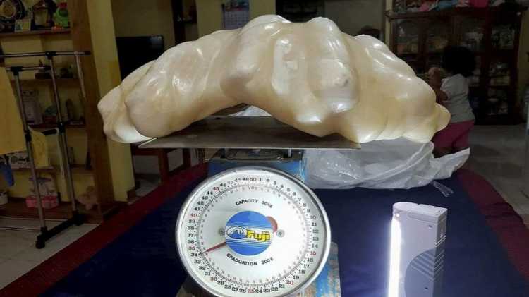 Amazing Treasures Found by Accident The World’s Largest Pearl