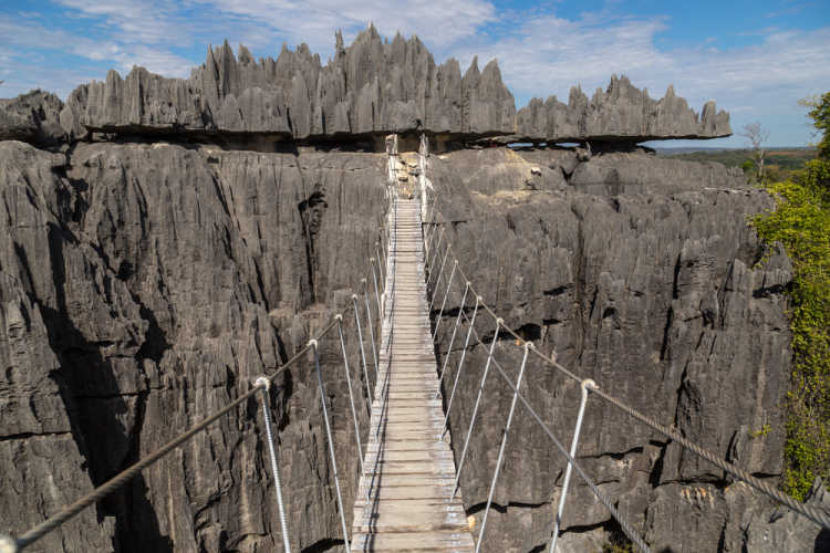 rope bridge in Tsingy de Bemaraha National Park