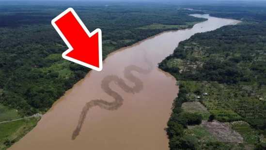 Why The Amazon River Has No Bridges
