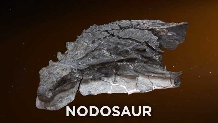 nodosaur