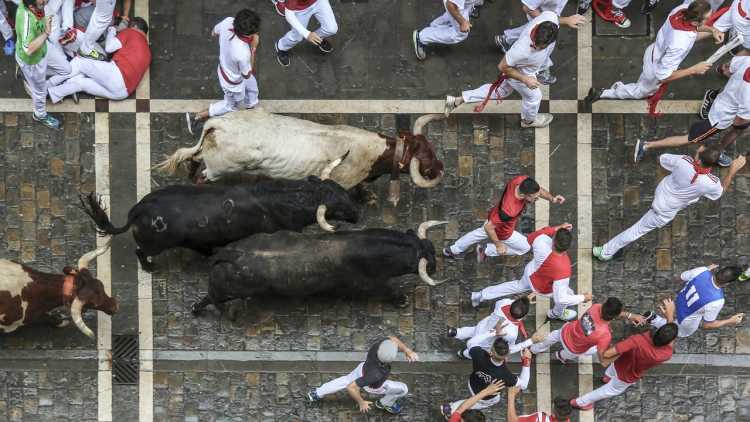 Running of the bulls Festival Of Sanfermines